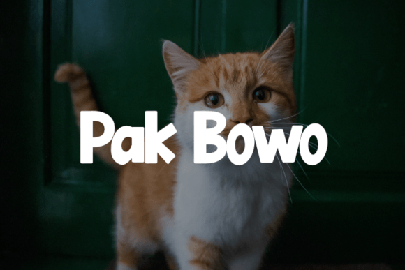 Discover Pak Bowo: A Versatile Typeface for Editorial Design