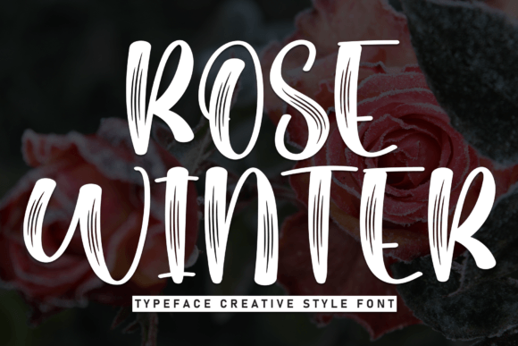 Rose Winter: A Stylish Display Font for Editorial Elegance
